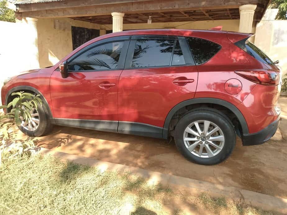 IMG 20251015 WA00841