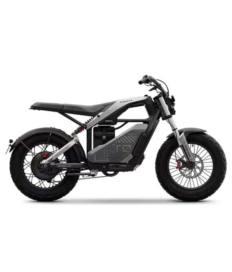 Segway Xyber Electric Bike (ALANBIKESHOP)