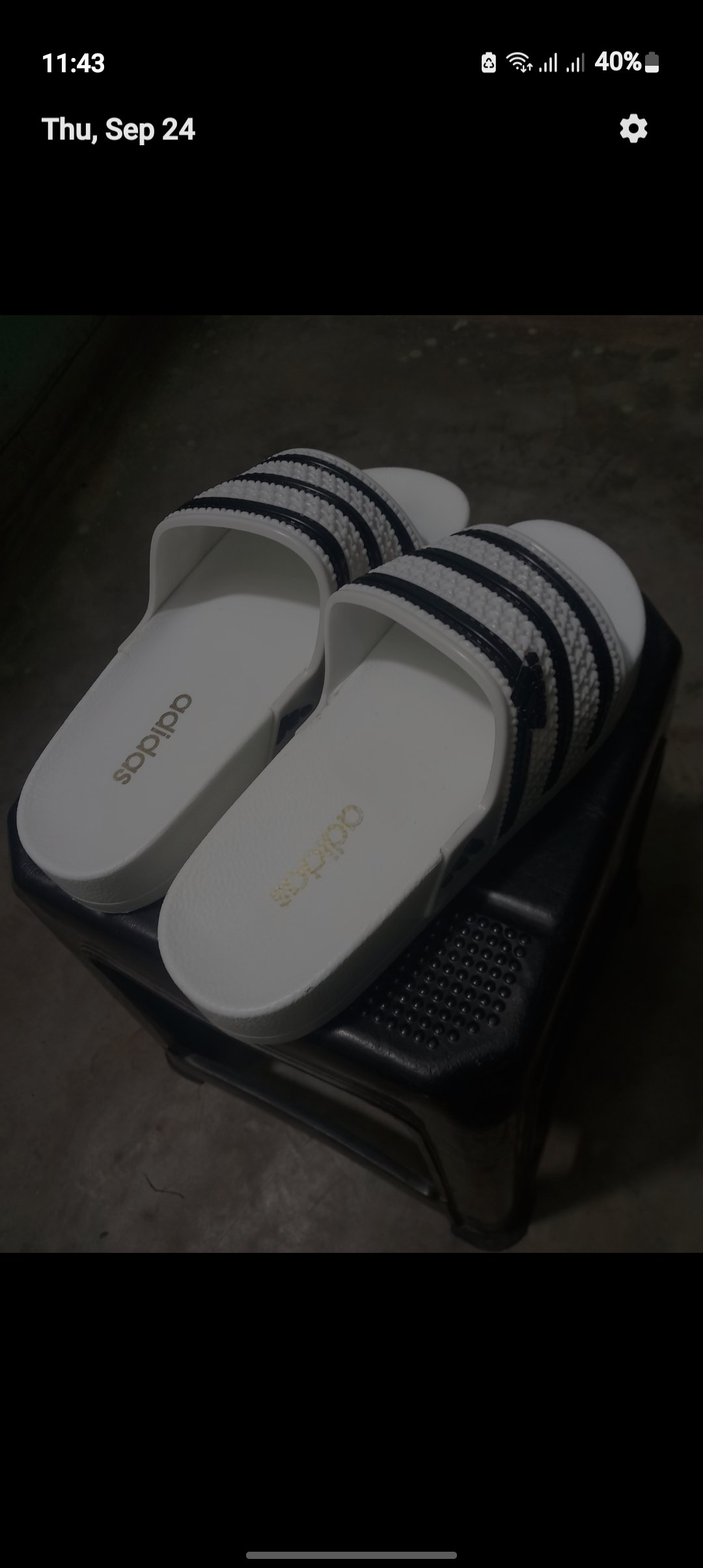 Slides for sale