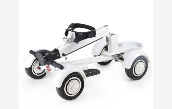 EcoRider G2 E7-1 4Wheel Foldable Golf Electric Skateboard